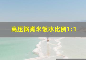 高压锅煮米饭水比例1:1