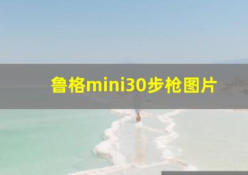 鲁格mini30步枪图片