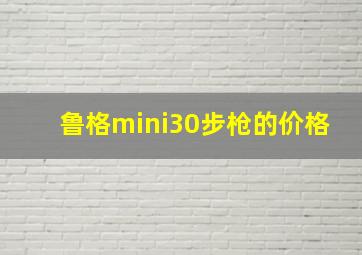 鲁格mini30步枪的价格