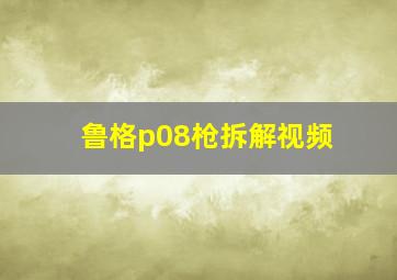 鲁格p08枪拆解视频