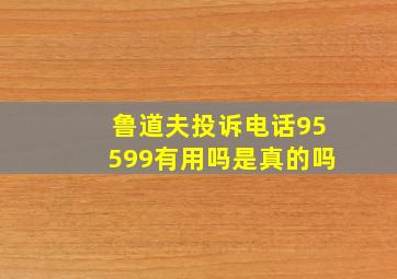 鲁道夫投诉电话95599有用吗是真的吗