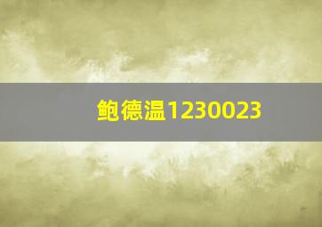 鲍德温1230023