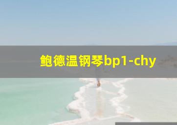 鲍德温钢琴bp1-chy