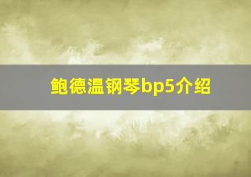 鲍德温钢琴bp5介绍