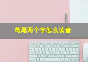 鸢尾两个字怎么读音