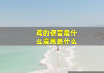 鸢的读音是什么意思是什么