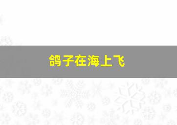 鸽子在海上飞