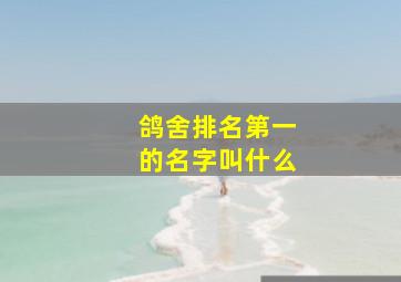 鸽舍排名第一的名字叫什么