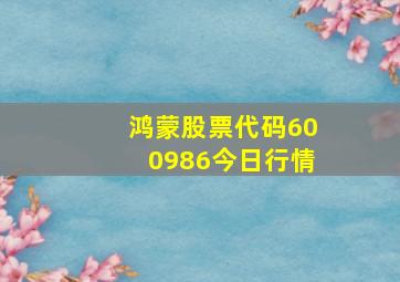 鸿蒙股票代码600986今日行情