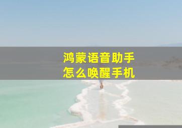 鸿蒙语音助手怎么唤醒手机