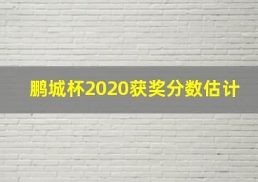 鹏城杯2020获奖分数估计