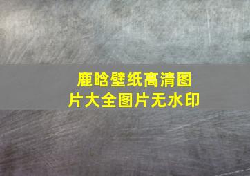 鹿晗壁纸高清图片大全图片无水印