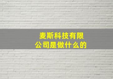 麦斯科技有限公司是做什么的