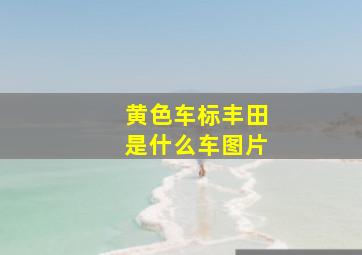 黄色车标丰田是什么车图片