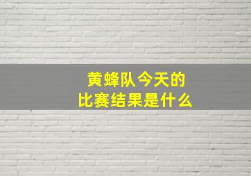 黄蜂队今天的比赛结果是什么