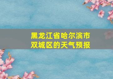 黑龙江省哈尔滨市双城区的天气预报