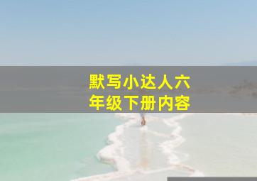 默写小达人六年级下册内容