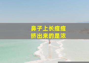 鼻子上长痘痘挤出来的是浓