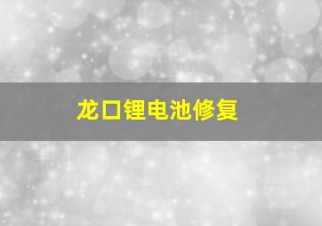 龙口锂电池修复