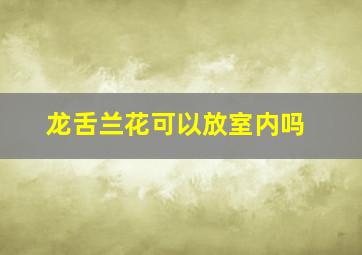 龙舌兰花可以放室内吗