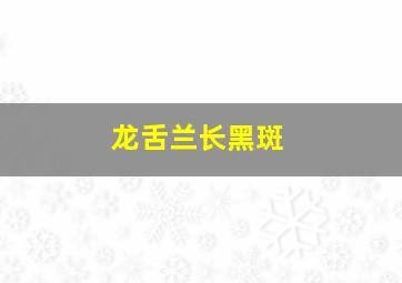 龙舌兰长黑斑