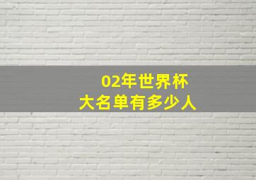 02年世界杯大名单有多少人