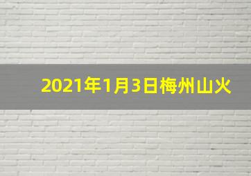 2021年1月3日梅州山火