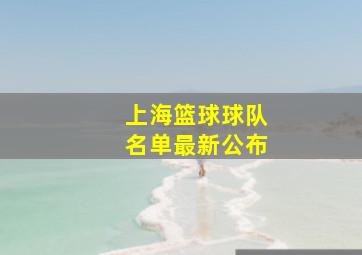 上海篮球球队名单最新公布