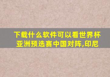 下载什么软件可以看世界杯亚洲预选赛中国对阵,印尼