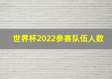 世界杯2022参赛队伍人数