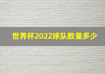 世界杯2022球队数量多少