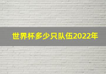 世界杯多少只队伍2022年