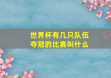 世界杯有几只队伍夺冠的比赛叫什么