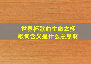 世界杯歌曲生命之杯歌词含义是什么意思啊