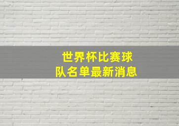 世界杯比赛球队名单最新消息