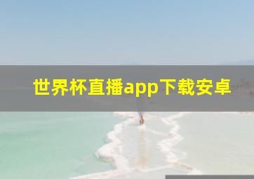 世界杯直播app下载安卓