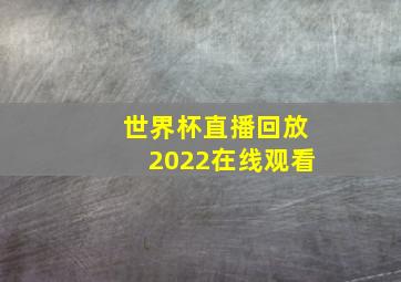 世界杯直播回放2022在线观看