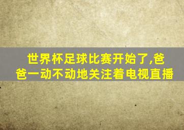 世界杯足球比赛开始了,爸爸一动不动地关注着电视直播