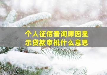 个人征信查询原因显示贷款审批什么意思