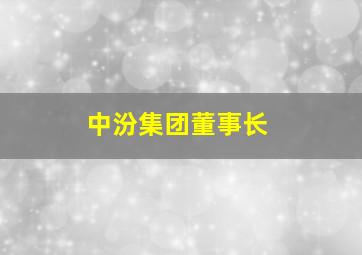 中汾集团董事长