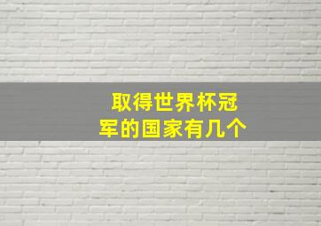 取得世界杯冠军的国家有几个