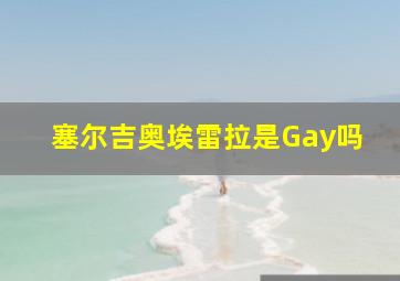 塞尔吉奥埃雷拉是Gay吗