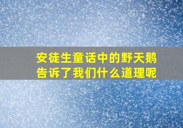 安徒生童话中的野天鹅告诉了我们什么道理呢