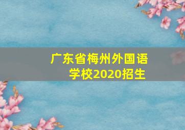 广东省梅州外国语学校2020招生