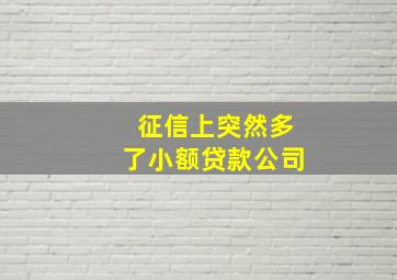 征信上突然多了小额贷款公司