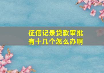 征信记录贷款审批有十几个怎么办啊