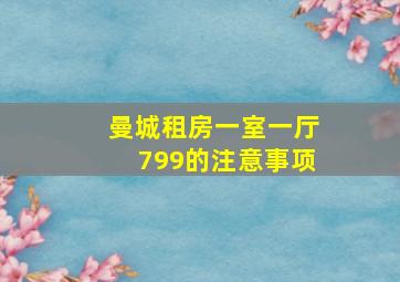 曼城租房一室一厅799的注意事项