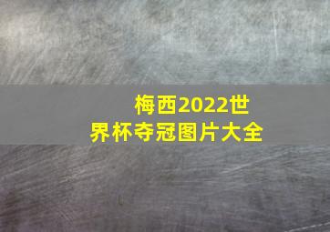 梅西2022世界杯夺冠图片大全