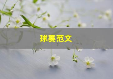 球赛范文