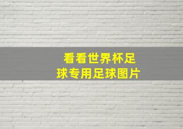 看看世界杯足球专用足球图片